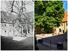 Öffentliche Führung: Die Klosteranlage im Wandel – die letzten 40 Jahre