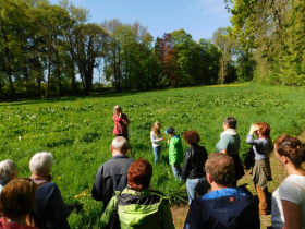 Kräuterspaziergang für junge Eltern mit Kindern