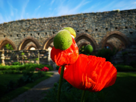 Öffentliche Führung im Kloster Memleben