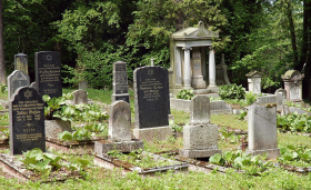 Öffentliche Stadtführung: Mikwe, Synagoge, Stolpersteine - auf jüdischen Spuren in Sondershausen