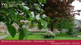 Öffentliche Führung: Kaiserpfalz - Reichsabtei - Propstei