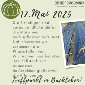 Entdeckertag "Kürbis und Mais"