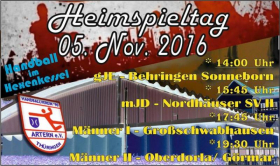 Handball im Hexenkessel