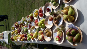 Obstsortentag