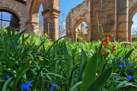 Öffentliche Führung im Kloster Memleben