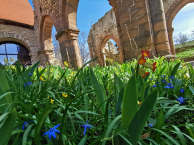 Öffentliche Führung im Kloster Memleben