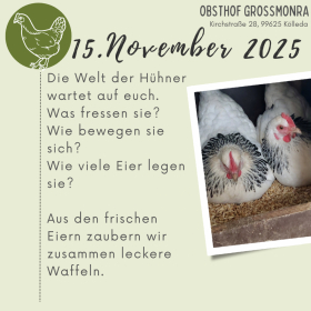 Entdeckertag Hühner