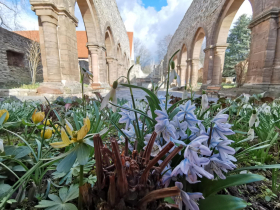 Öffentliche Führung im Kloster Memleben
