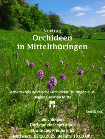 Orchideen in Mittelthüringen