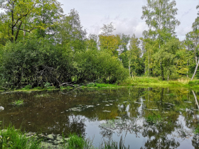 Wasserwandern rund um den Possen