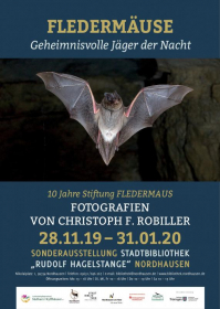 „Fledermäuse – Geheimnisvolle Jäger der Nacht“