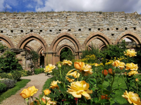 Öffentliche Führung im Kloster Memleben