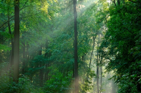 Yoga trifft Hohe Schrecke