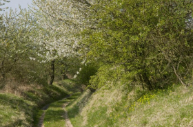 Wiese, Wald und Weite – unterwegs in der Kahlen Schmücke