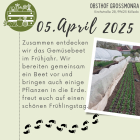 Gemüsebeete im Frühjahr
