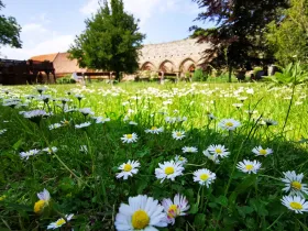 Ferienworkshop: Klosterbienen und Werkstoff Wachs (BIK)