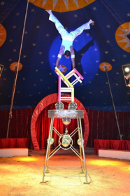 CIRCUS-SHOW-ROBINI