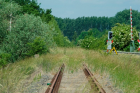 Sonderfahrt Unstrut-Schrecke-Express: Frühlingserwachen - Naturbeobachtungen in der Hohen Schrecke 