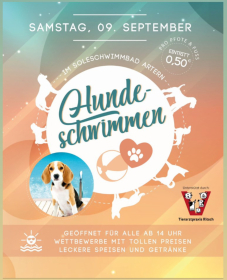 Hundeschwimmen