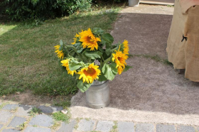 Naturführung zum Kirschmarkt