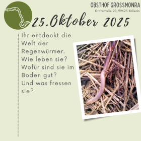 Entdeckertag Regenwurm