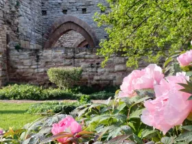 Öffentliche Führung: Kaiserpfalz – Reichsabtei – Propstei