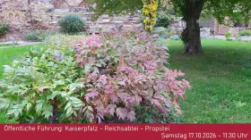 Öffentliche Führung: Kaiserpfalz - Reichsabtei - Propstei