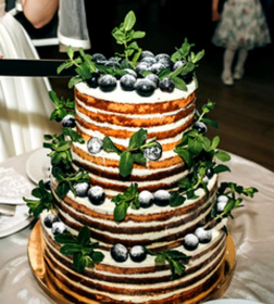 Moderne Tortenkunst - Naked Cake Kurs