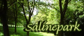 Salinepark