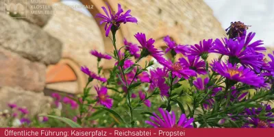 Öffentliche Führung: Kaiserpfalz - Reichsabtei - Propstei
