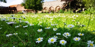 Ferienworkshop: Klosterbienen und Werkstoff Wachs (BIK)