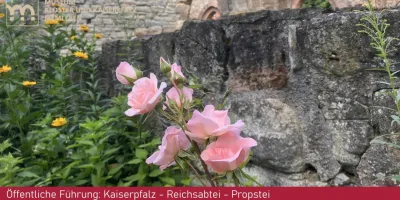 Öffentliche Führung: Kaiserpfalz - Reichsabtei - Propstei