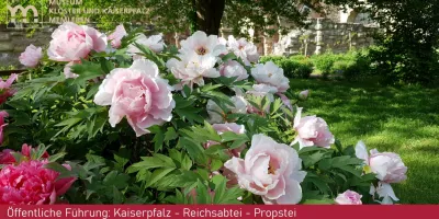 Öffentliche Führung: Kaiserpfalz - Reichsabtei - Propstei
